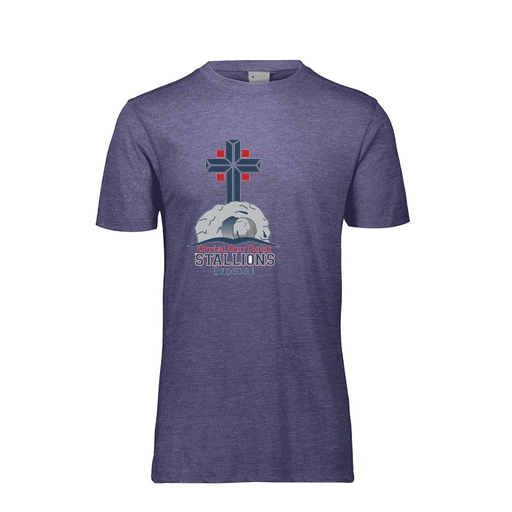 [FTSCUBRY-AS-LOGO2] Decker Men's Tri-Blend T-Shirt - Short Sleeve (Adult S, Royal, Logo 2)