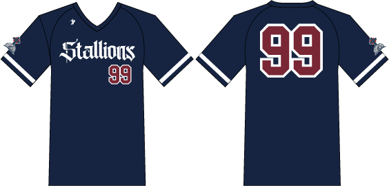 Christ Our Rock - Navy V-Neck Jersey